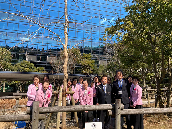 環境保全を目的とした桜植樹の奉仕活動