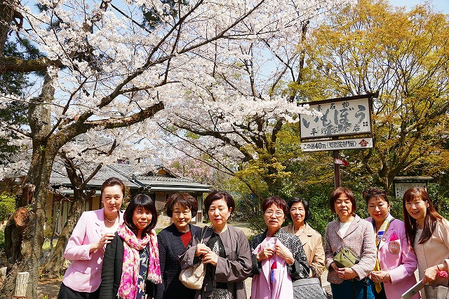 全国桜フォーラムIN京都A（知恩院・いもぼう・丸山公園）